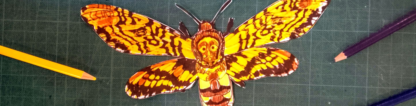 Photo d'un insecte réalisé en papier